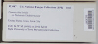 Image Associated With the Occurence